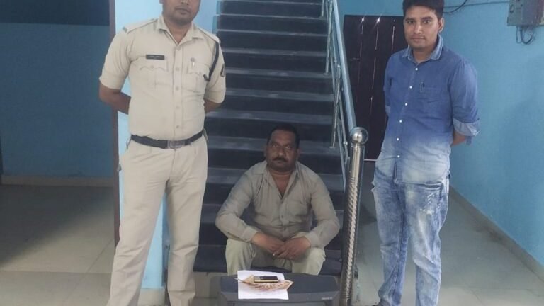 आईपीएल मैच में लगा था ₹154900 का दांव। बागबाहरा पुलिस ने 1 आरोपी को किया गिरफ्तार