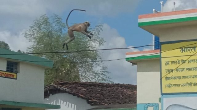 एक अपील कसेकेरा के नाम…….