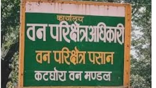 कटघोरा वनमंडल: सागौन की अवैध कटाई व तस्करी के मामले पर अज्ञात आरोपियों पर अपराध दर्ज,सात नग सागौन लट्ठा जप्त।