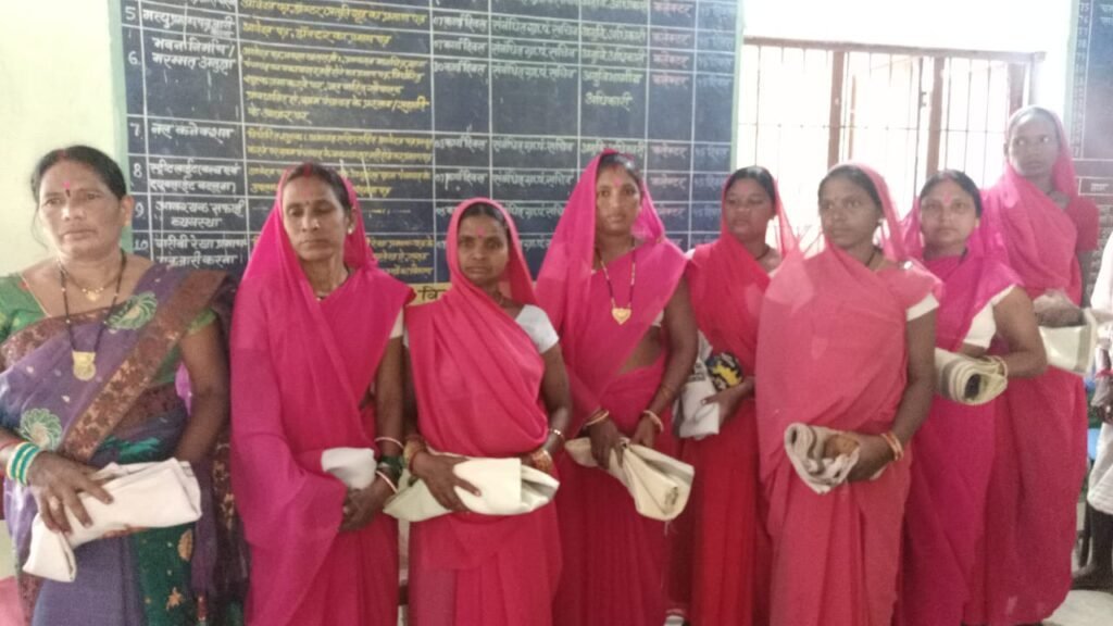 मितानिनों को किया गया सम्मानित