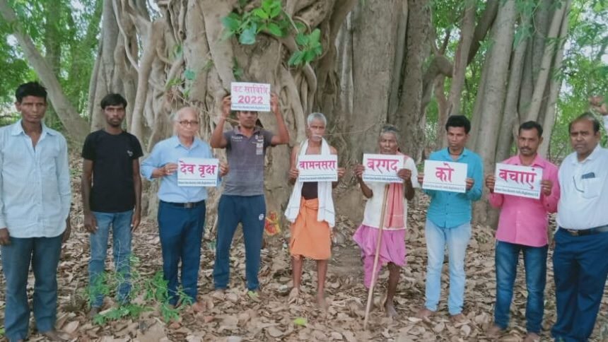 वट सावित्री पर्व पर बामनसरा स्थित 400वर्षीय देव वृक्ष वट वृक्ष को संरक्षित करने ग्रीन केयर ने की गुहार ।