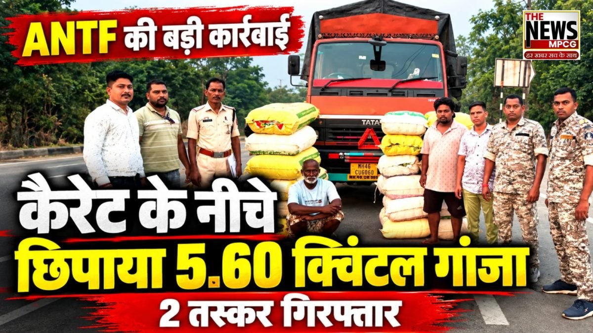 महासमुंद में 560 किलो गांजा जब्त, 2.95 करोड़ रुपये की संपत्ति बरामद
