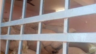 उड़ीसा का धान छत्तीसगढ़ में खपाने का बड़ा खेल! भुरकोनी के व्यापारी, और पंचायत प्रतिनिधि की मिलीभगत से सरकारी भवन में रखा गया था अवैध धान…. सूत्र